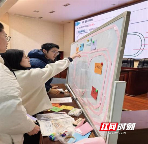 图片4.jpg 图片4.jpg